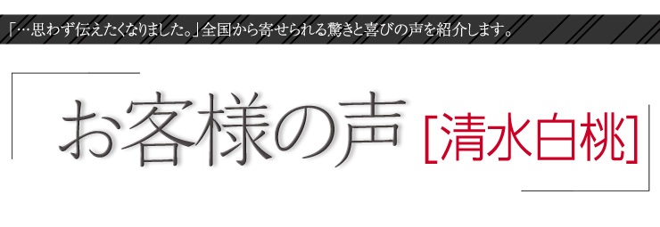 お客様の声