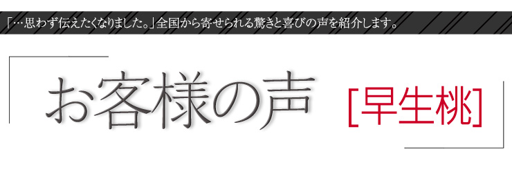 お客様の声