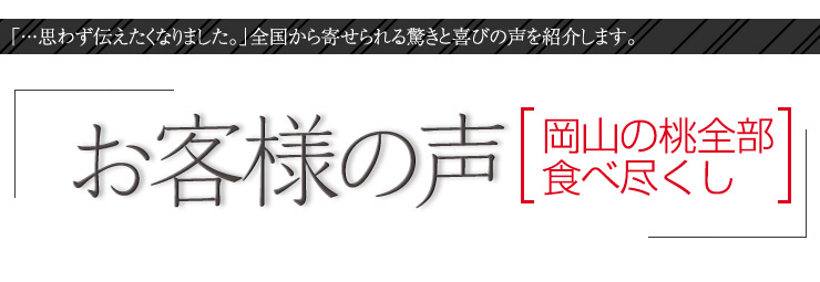 お客様の声