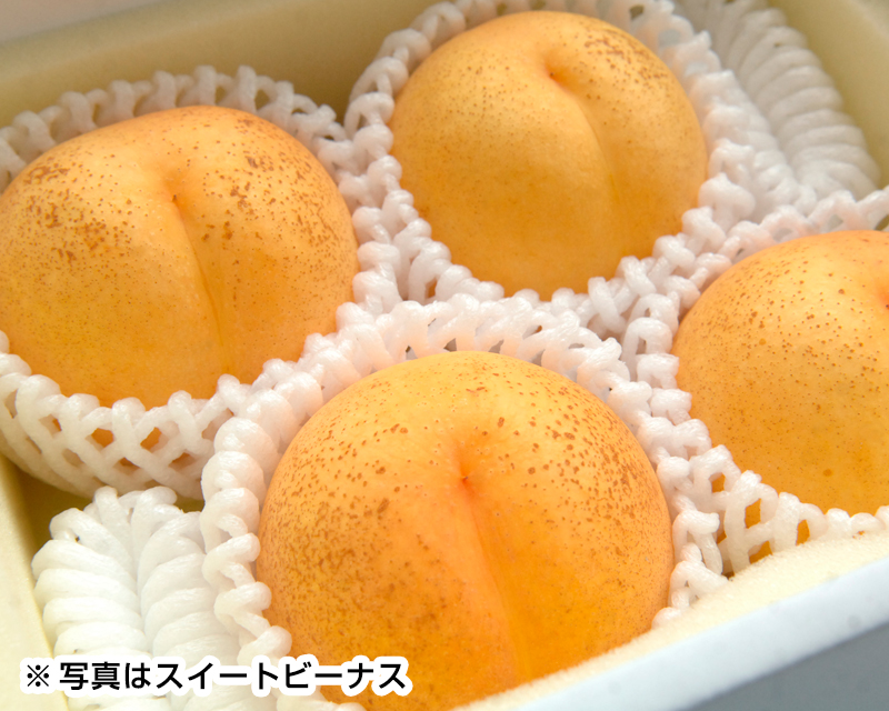 ネクタリンの果皮の傷について