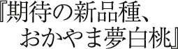 期待の新品種、おかやま夢白桃