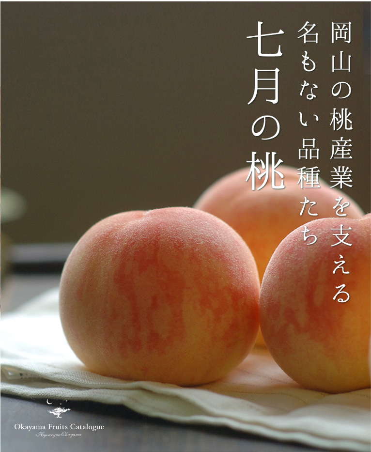 岡山の桃