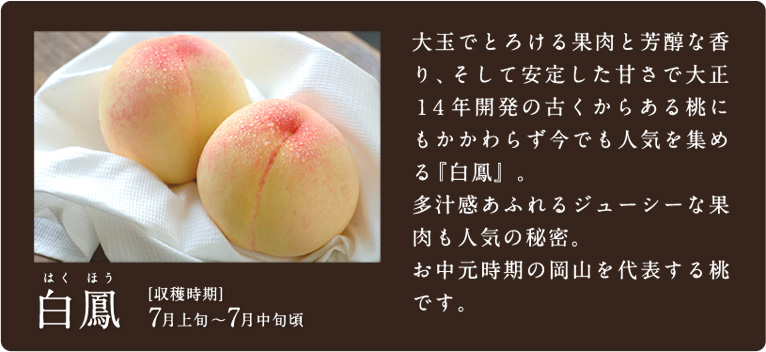 白鳳