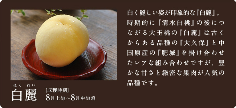 白麗