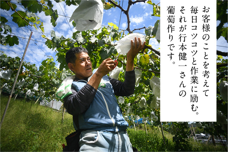 行本健一さんの7月のピオーネ