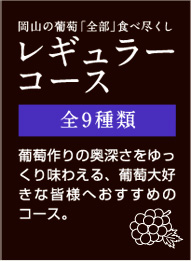 岡山の葡萄食べ尽くしレギュラー