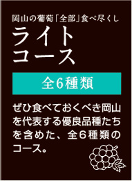 岡山の葡萄食べ尽くしライト