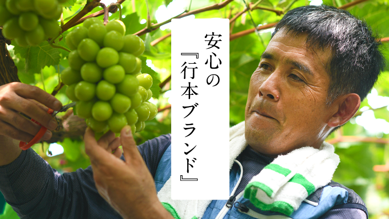 ピオーネ