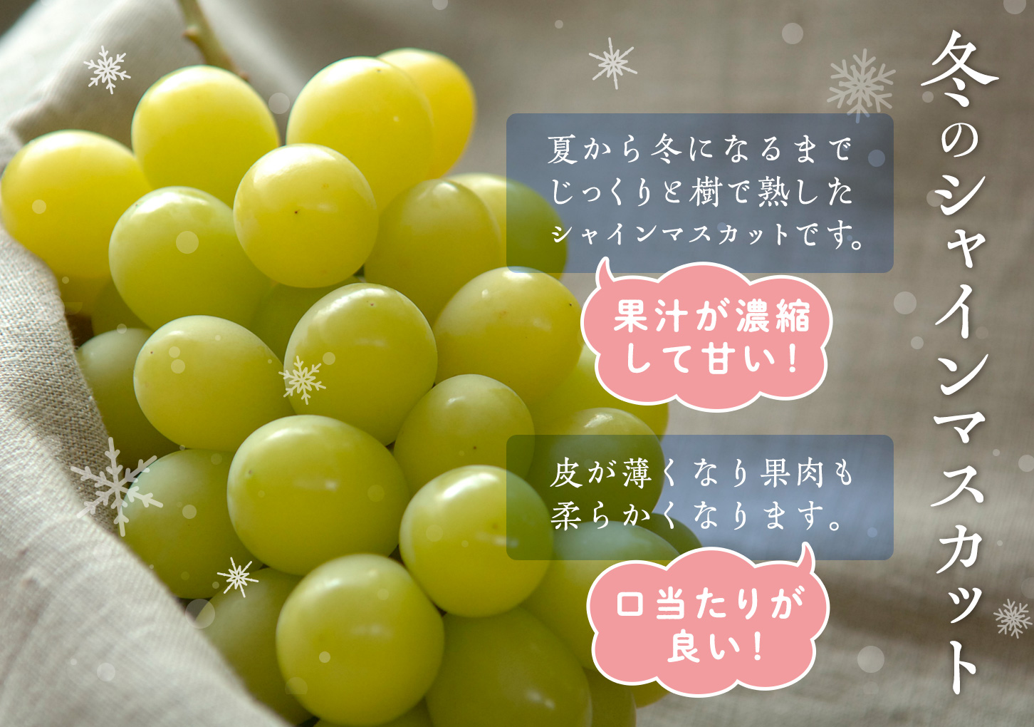 冬のシャインマスカットの説明