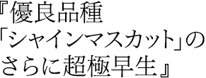 優良品種『シャインマスカット』のさらに超極早生