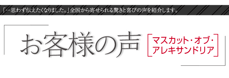 お客様の声　【マスカット】