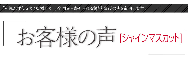 お客様の声