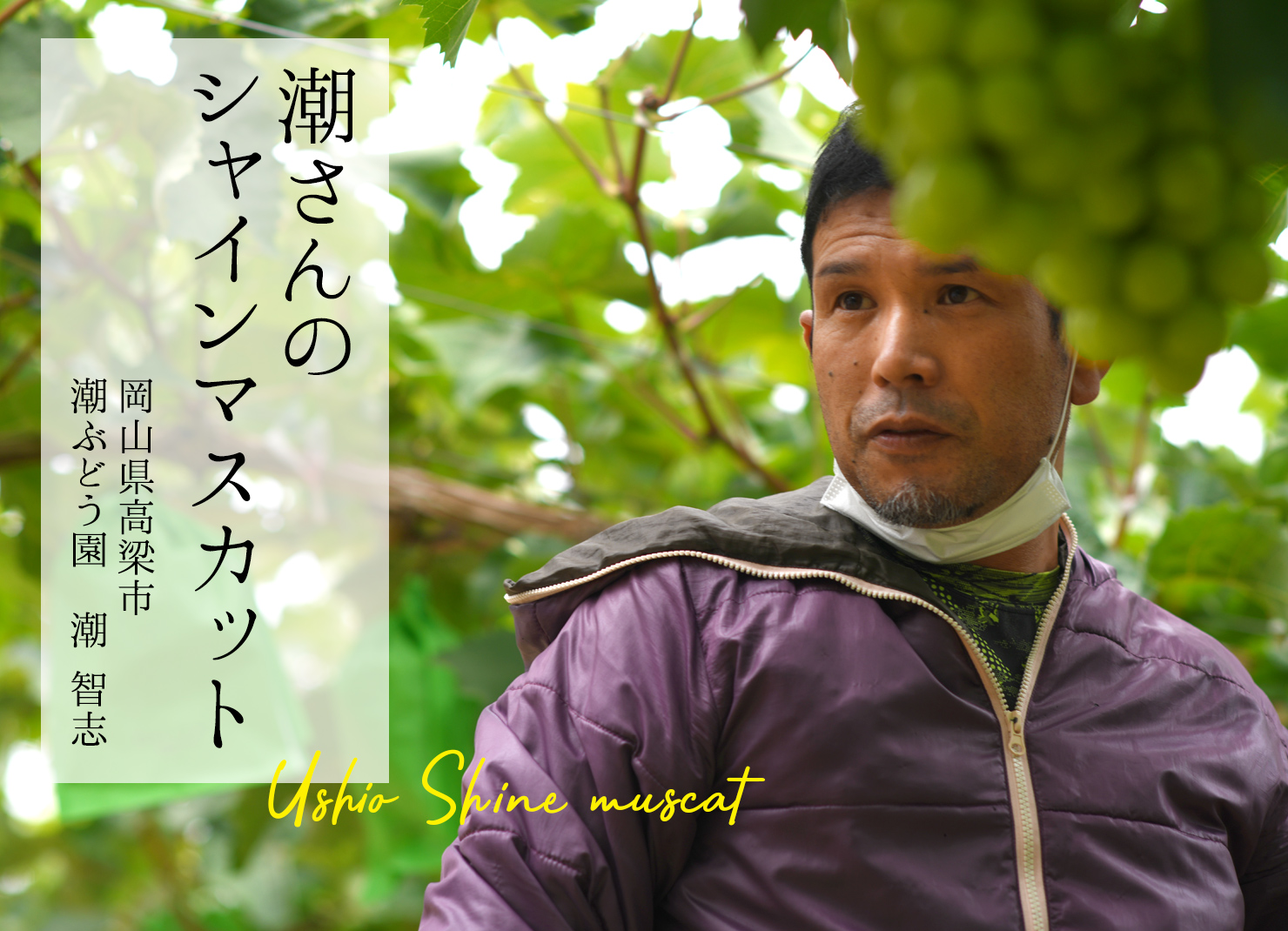 潮さんのシャインマスカット