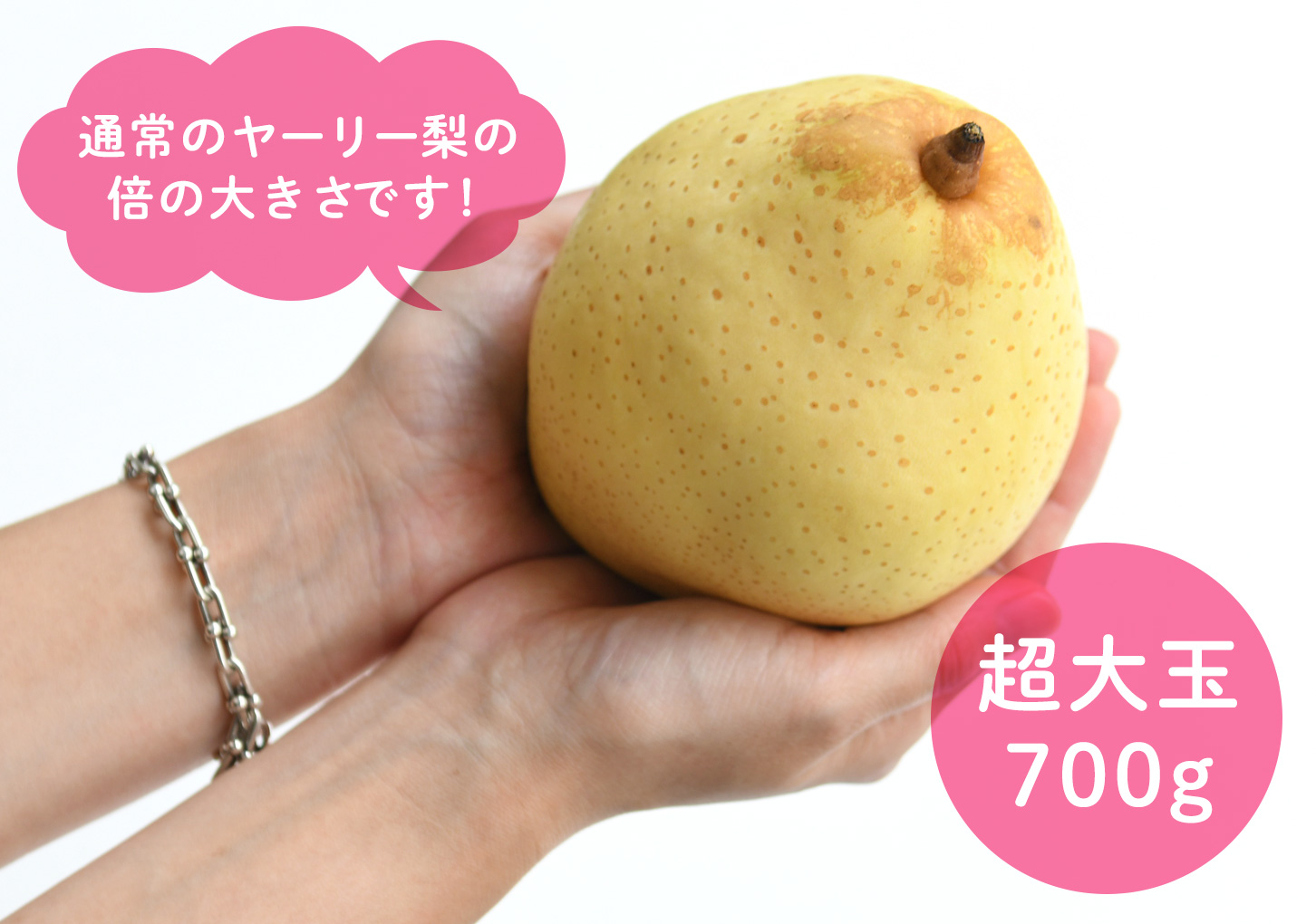 両手に持ってずしりと重い、超大玉ヤーリー梨
