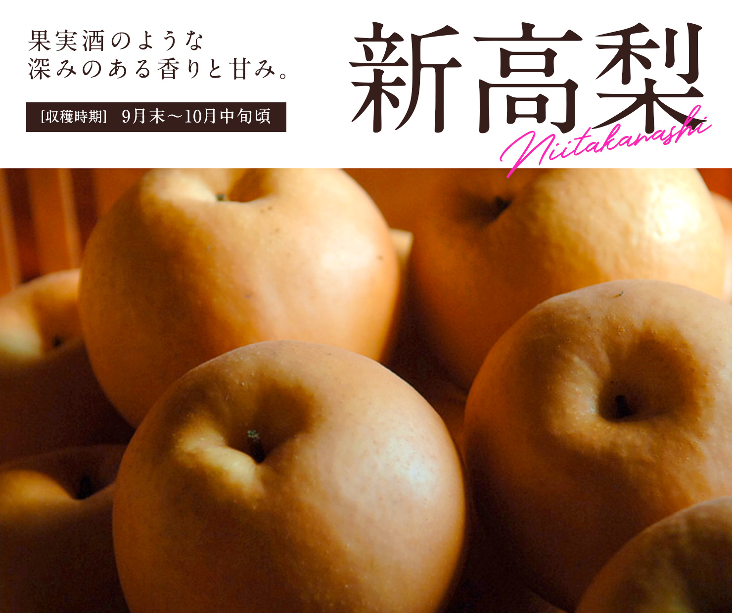 果実酒のような深みのある香りと甘み　新高梨