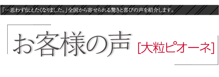 お客様の声