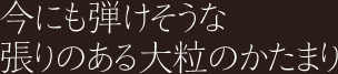 今にも弾けそうな張りのある大粒のかたまり