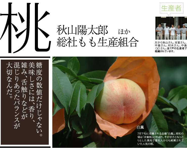 桃 | 岡山果物カタログ