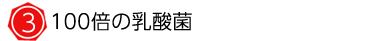 100倍の乳酸菌
