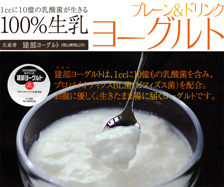建部ヨーグルト