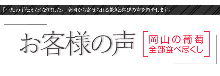 お客様の声【岡山の葡萄全部食べ尽くし】