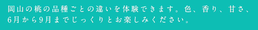 個性的な岡山の桃を味わいたい　ライトコース