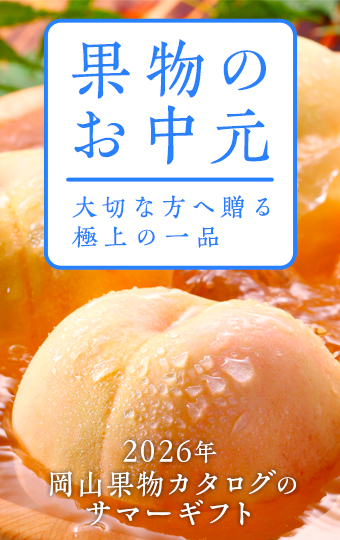 2026年サマーギフト 白桃とぶどう お中元