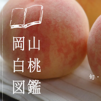 白桃の品種比較