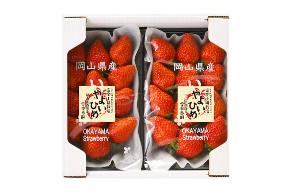 雪本さんの土耕栽培いちご 平トレイ2パックセット