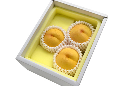 岡山県産ネクタリン エンパイヤ お土産ギフト 1kg 3～4玉