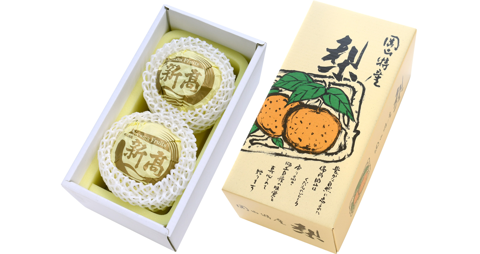 岡山果物カタログの新高梨を詰める化粧箱
