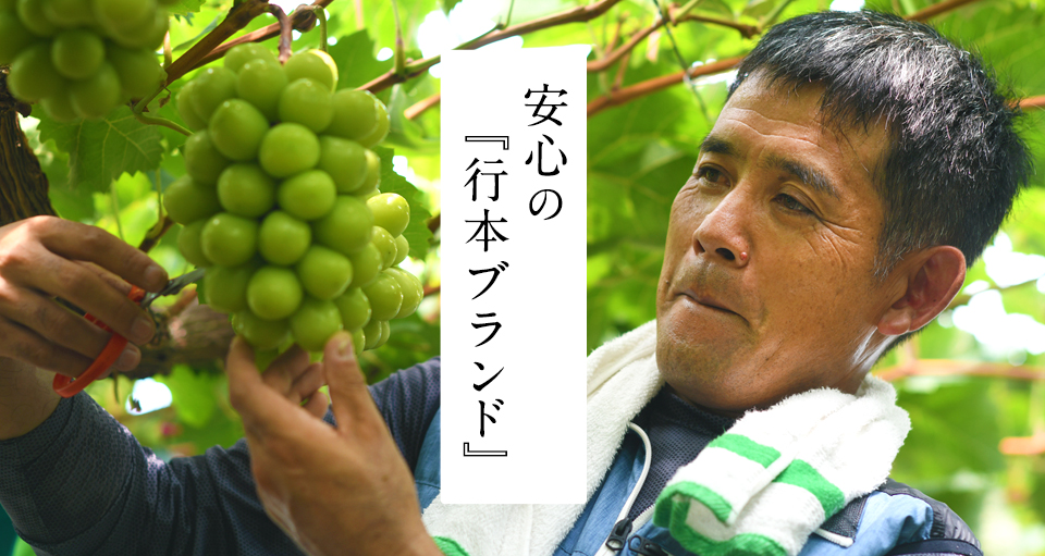 ピオーネ生産者行本健一さん