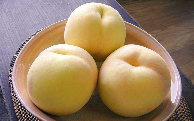 おかやま夢白桃