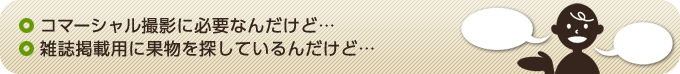コマーシャル撮影に必要なんだけど…、雑誌掲載用に果物を探しているんだけど…