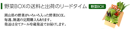 野菜BOX送料とリードタイム