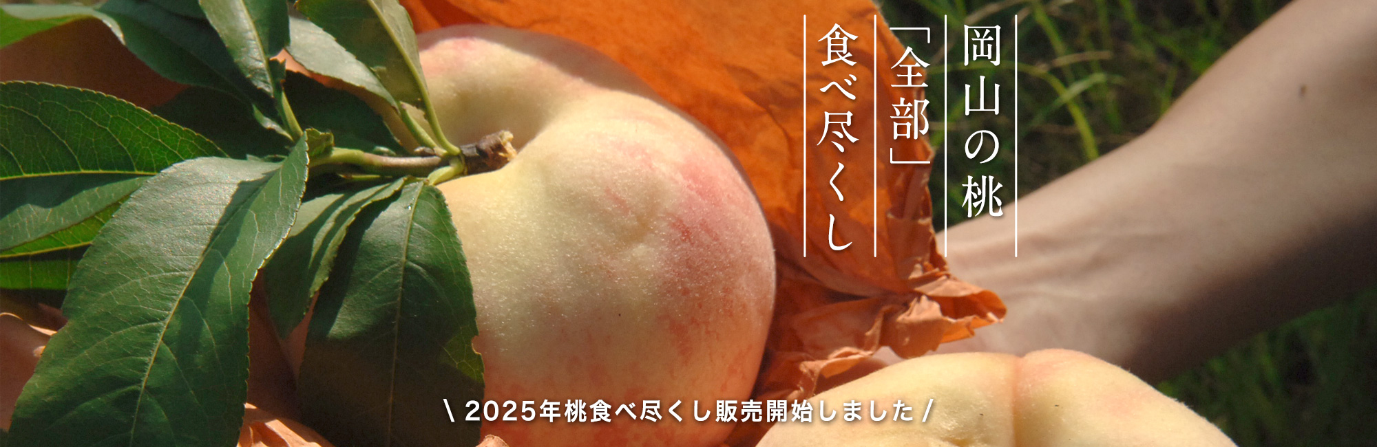 桃全部食べ尽くし