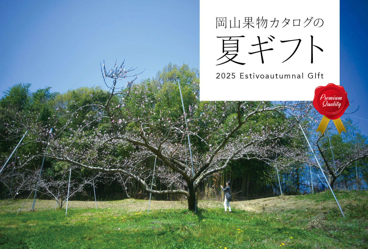 岡山果物カタログ 岡山果物カタログ