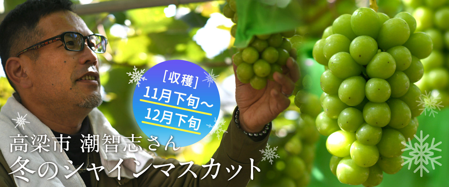 潮さん 冬のシャインマスカット
