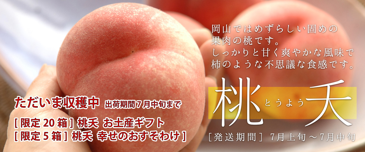 2025年「桃夭」 ただいま収穫中　出荷期間～7月中旬まで　限定20箱　桃夭おみやげギフト　限定５箱　桃夭しあわせのおすそわけ　