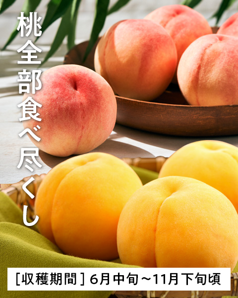 桃全部食べ尽くしコース