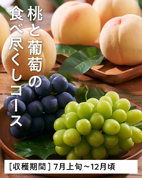 桃と葡萄の食べ尽くしコース
