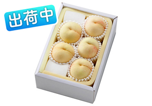 白麗秀品5玉