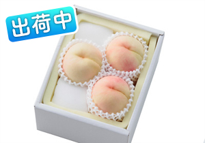 清水白桃お土産ギフト