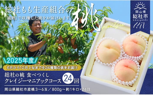【24回定期便】桃 食べつくしクレイジーマニアックコース【2025年産先行予約】