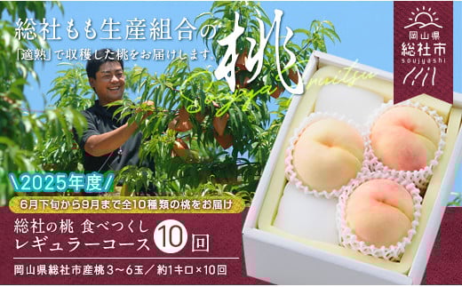 【10回定期便】桃 食べつくしレギュラーコース【2025年産先行予約】