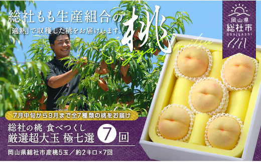 【7回定期便】桃 食べつくし厳選超大玉　極七選コース　岡山県総社もも生産組合【2025年産先行予約】
