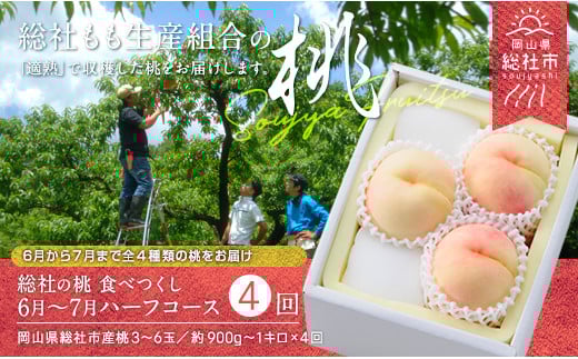 【4回定期便】桃 食べつくしハーフコース（6月～7月の桃）岡山県総社もも生産組合【2025年産先行予約】