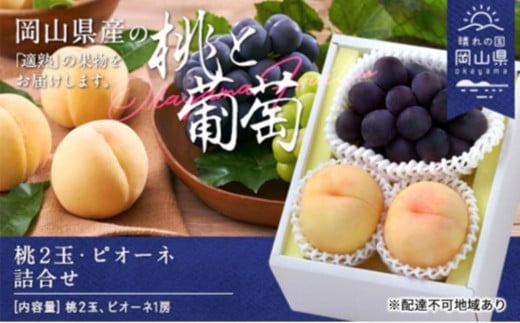 2025年 先行予約 桃2玉・ピオーネ1房 詰合せ