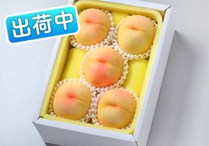 おかやま夢白桃秀品5玉