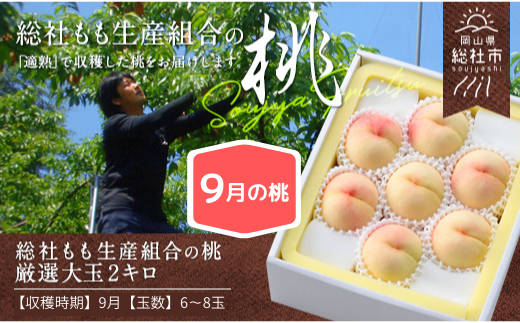 総社もも生産組合の桃　厳選大玉2kg【9月の桃】